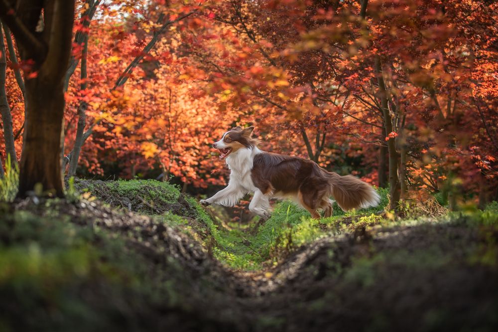 Photograph by Lu Wenyi