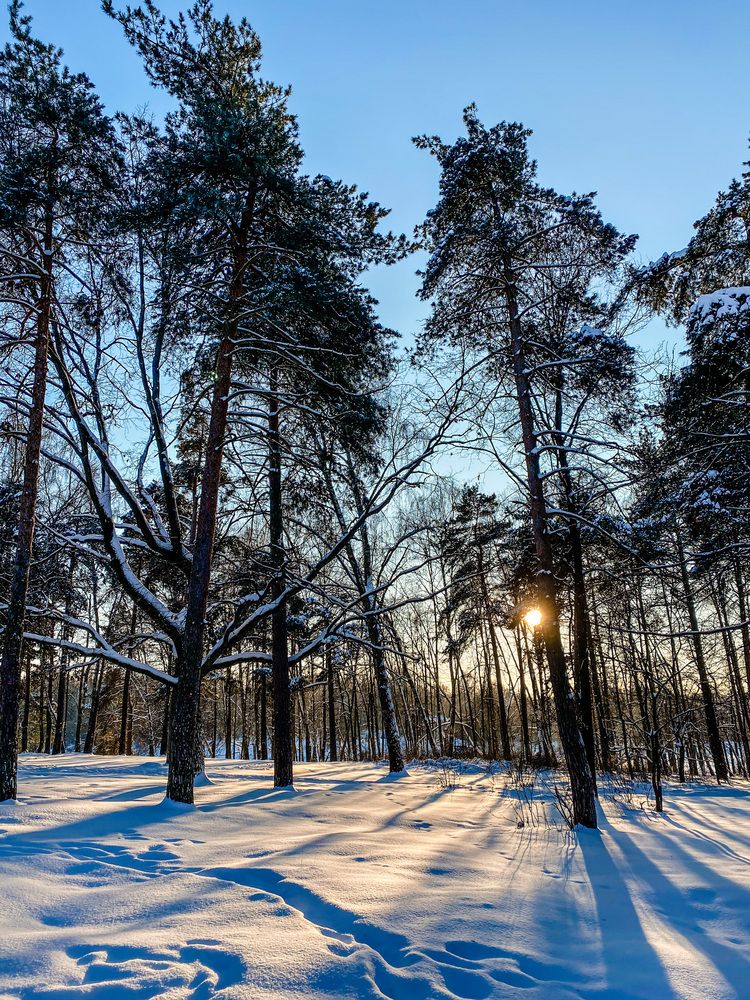 Photograph by Дарья Андреева