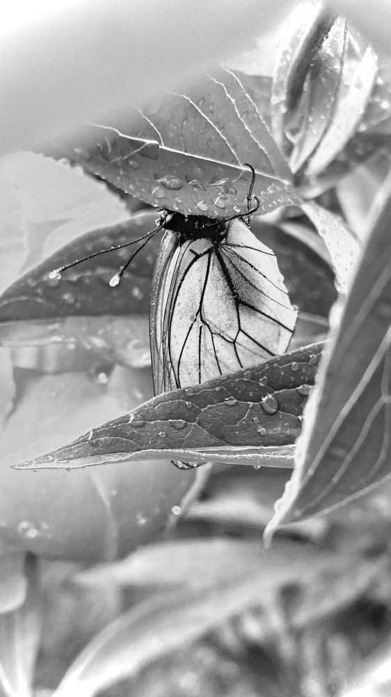 Фотография автора Анастасия Подкорытова