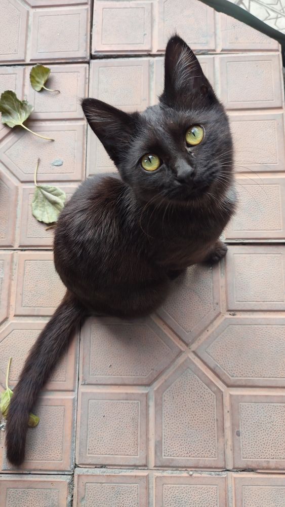 Photograph by Вахромова Елена