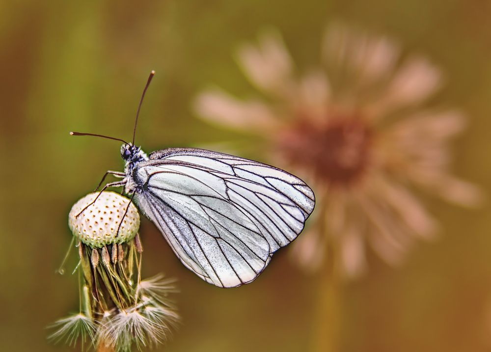 Фотография автора Марина Юдинских