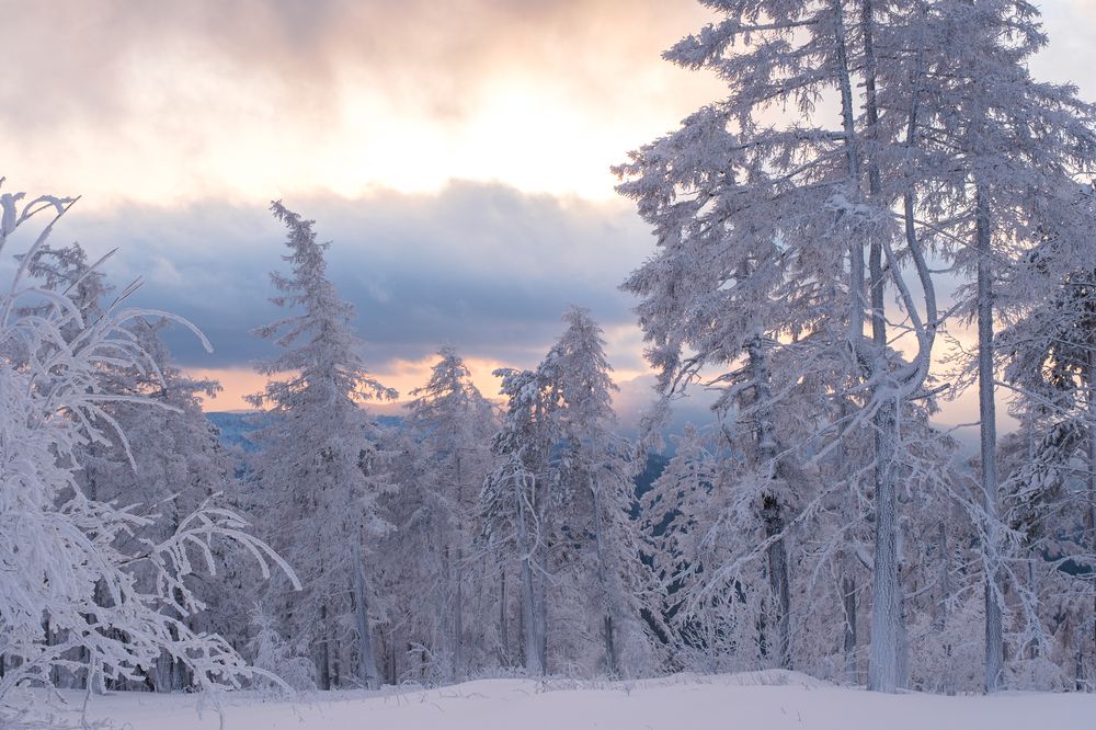 Photograph by Ирина Толокновская