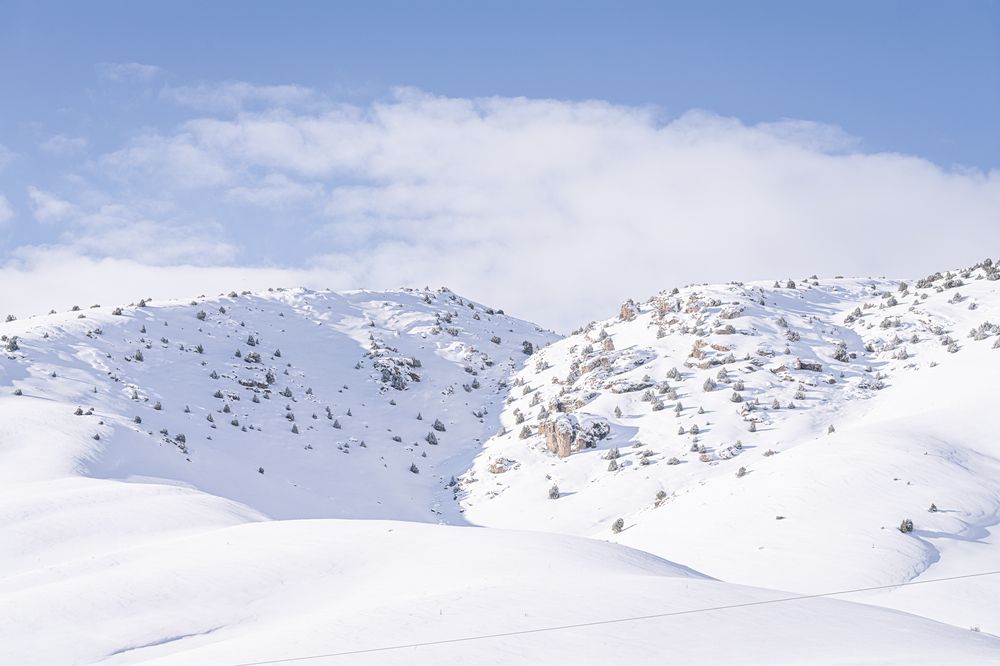 Photograph by Mustafa Sahin