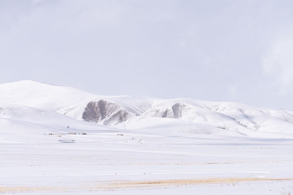 Photograph by Mustafa Sahin