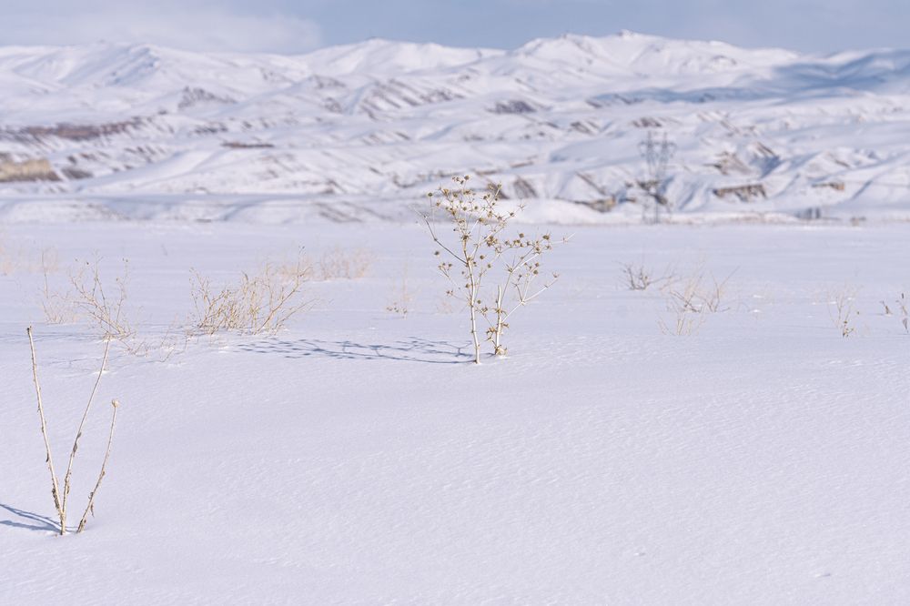 Photograph by Mustafa Sahin