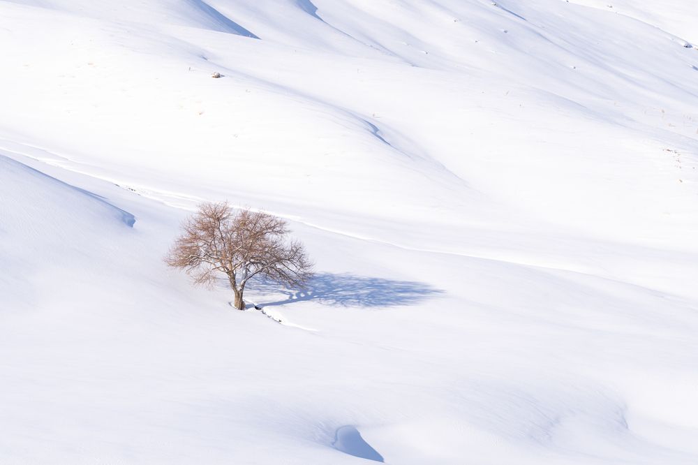 Photograph by Mustafa Sahin