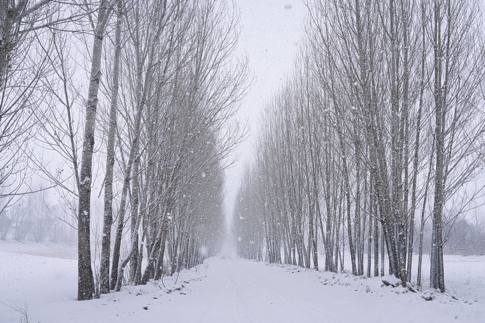 Photograph by Mustafa Sahin