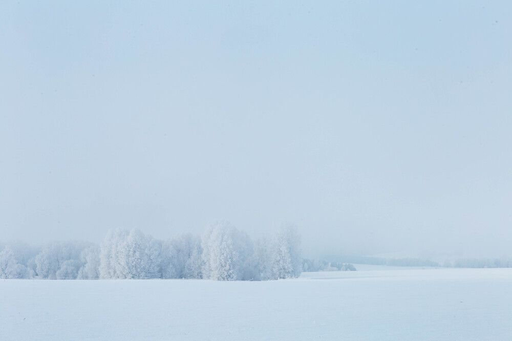 Photograph by Андриян чаркин