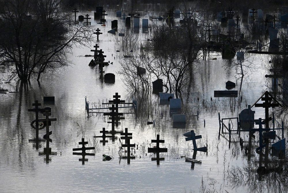 Photograph by Жданов Анатолий