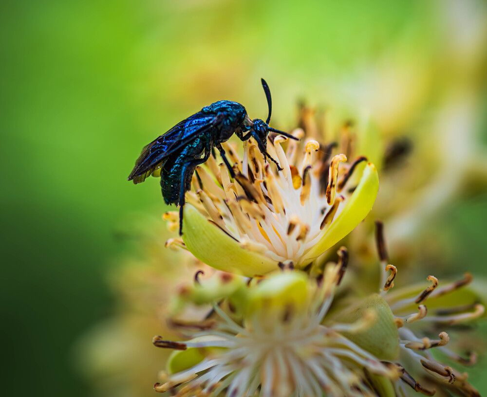 Photograph by Duc Nguyen