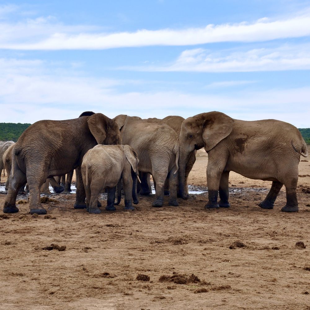 Photograph by Sandra Bruttomesso