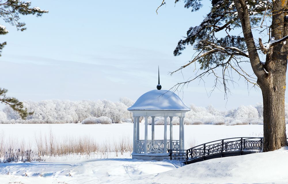 Photograph by Александра