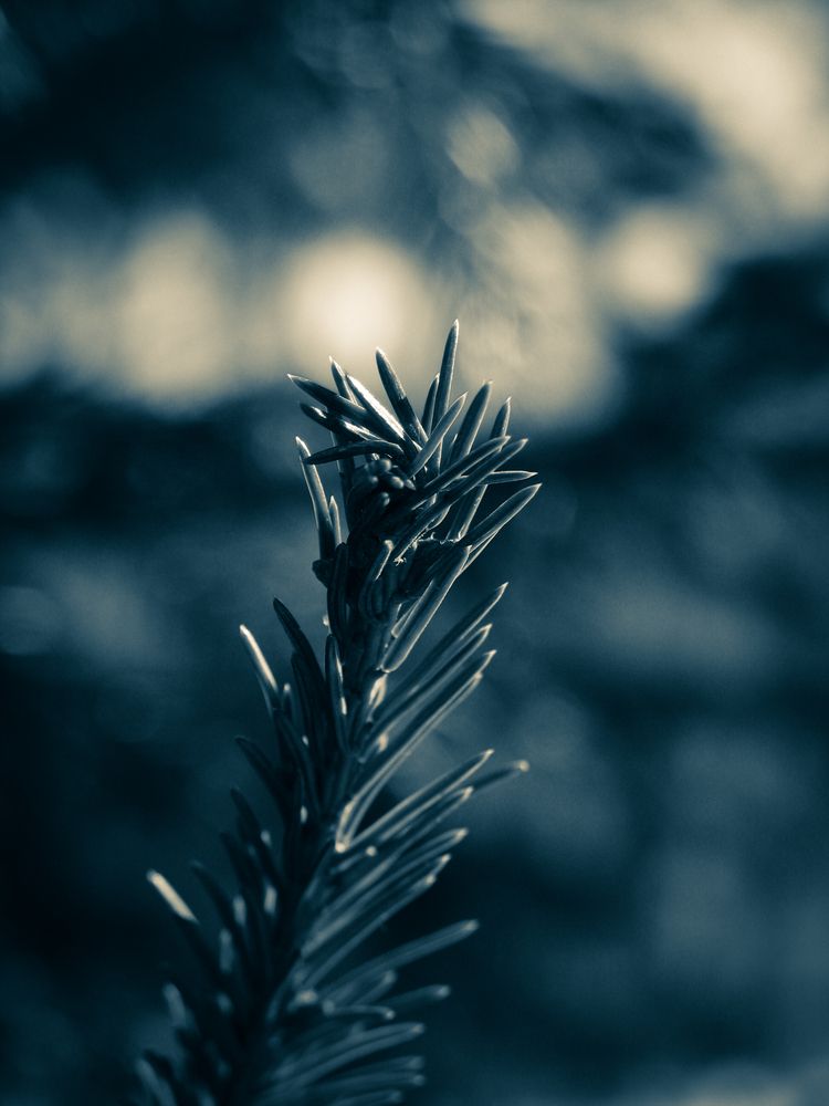 Photograph by Даниил Сапунов