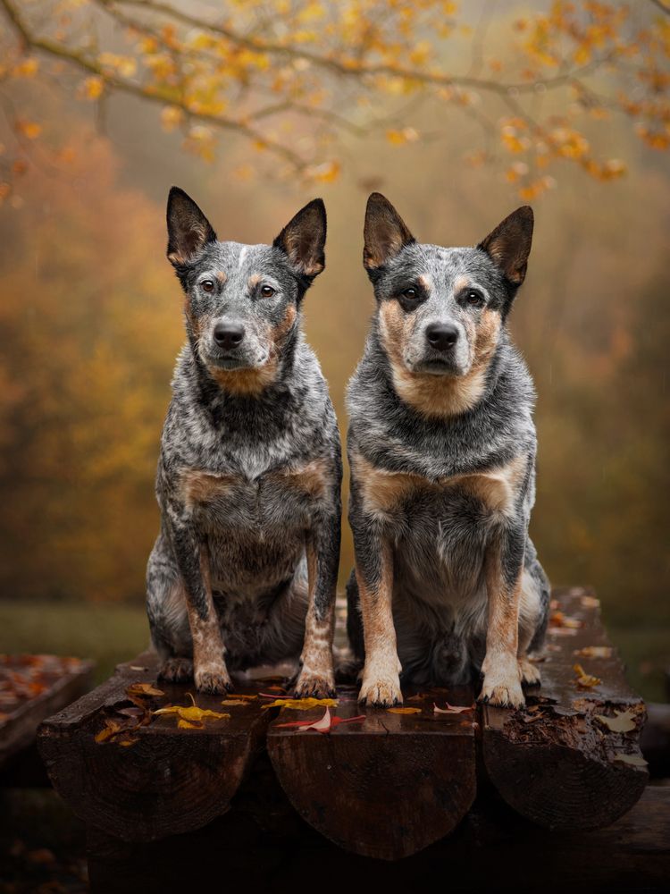 Photograph by Dorota Hnatová