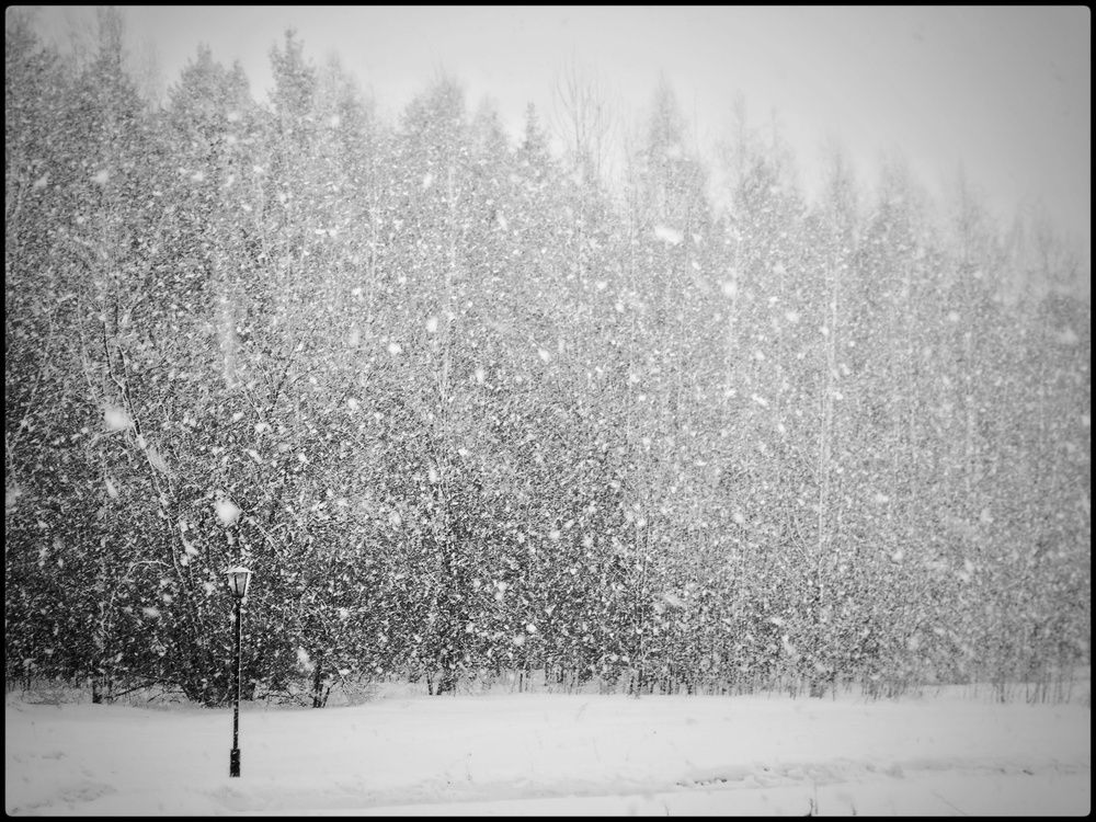 Photograph by Roman Kalinichev