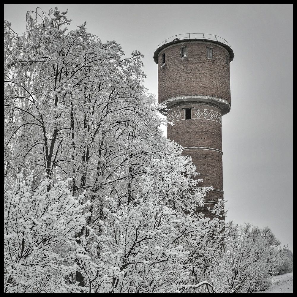 Photograph by Roman Kalinichev