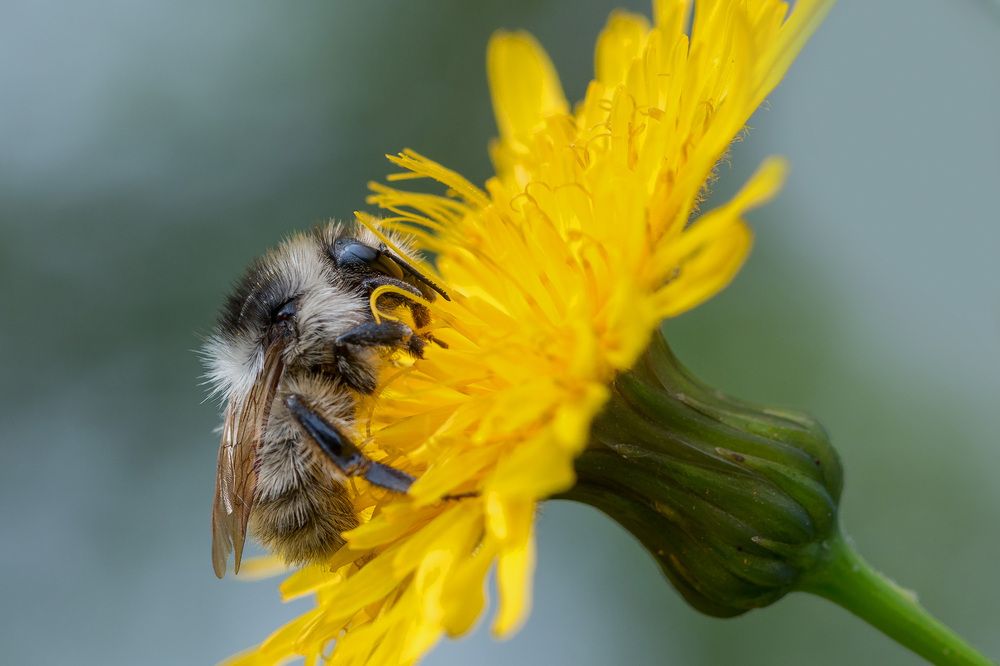 Photograph by Сергей Молоков