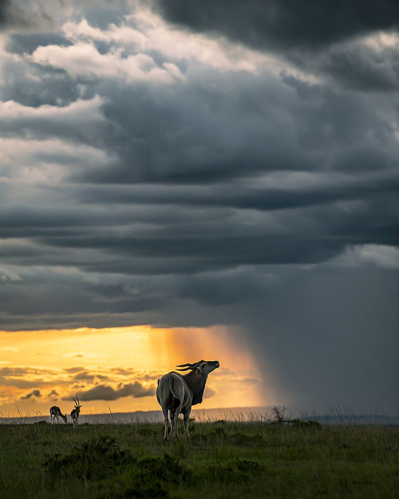 Photograph by Padmanabhan