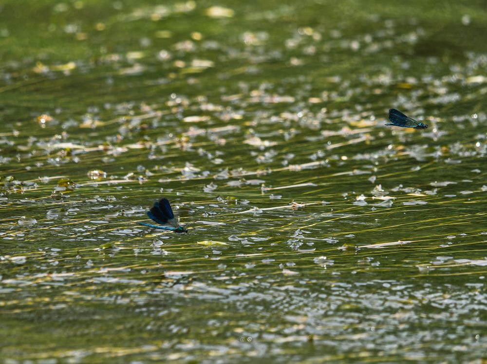Фотография автора Татаринов Валерий