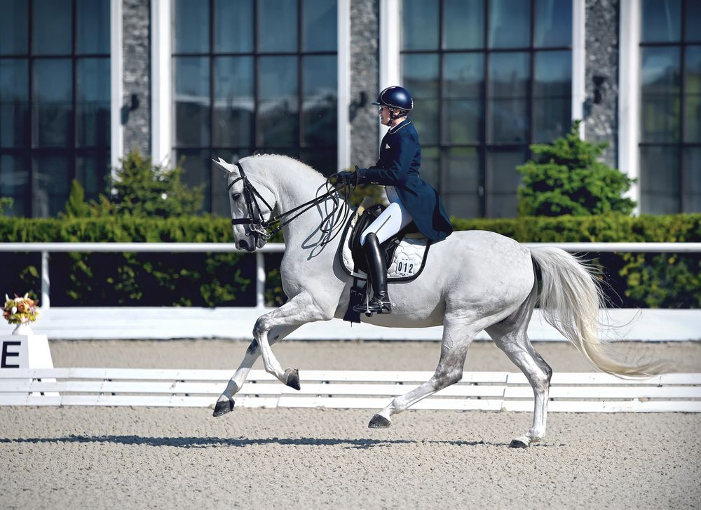 Photograph by Наталья Шелест