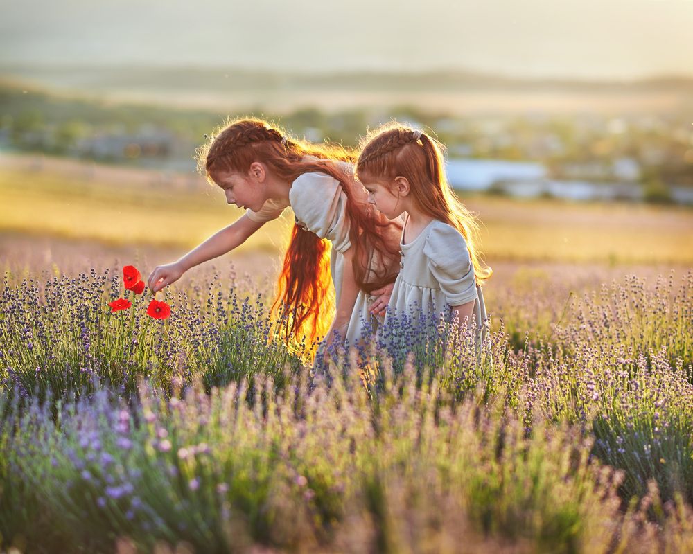 Photograph by Виталий Титов