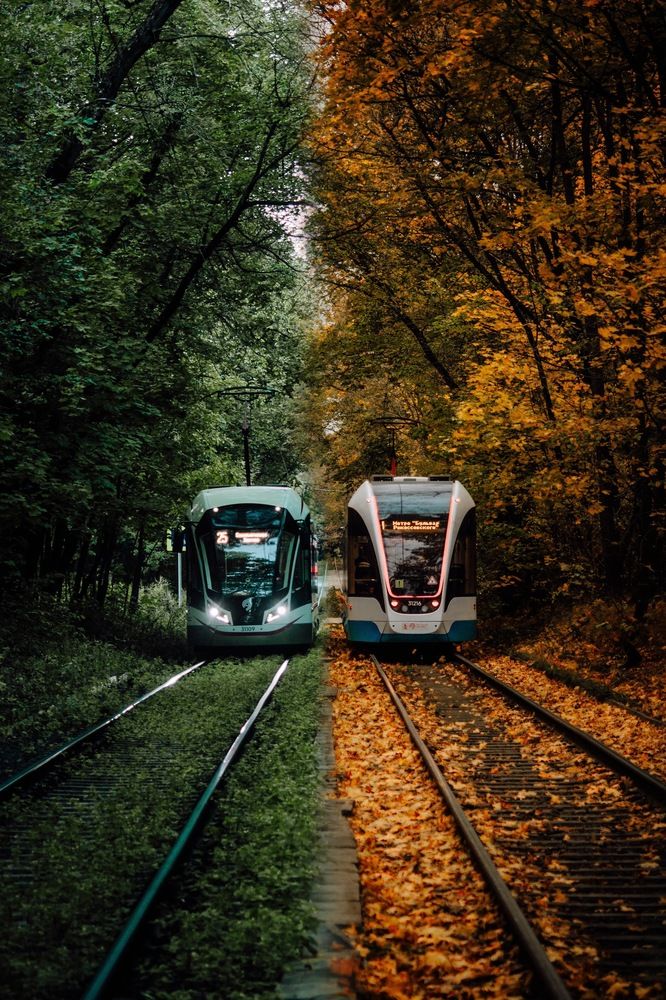 Photograph by Сергей Макаров