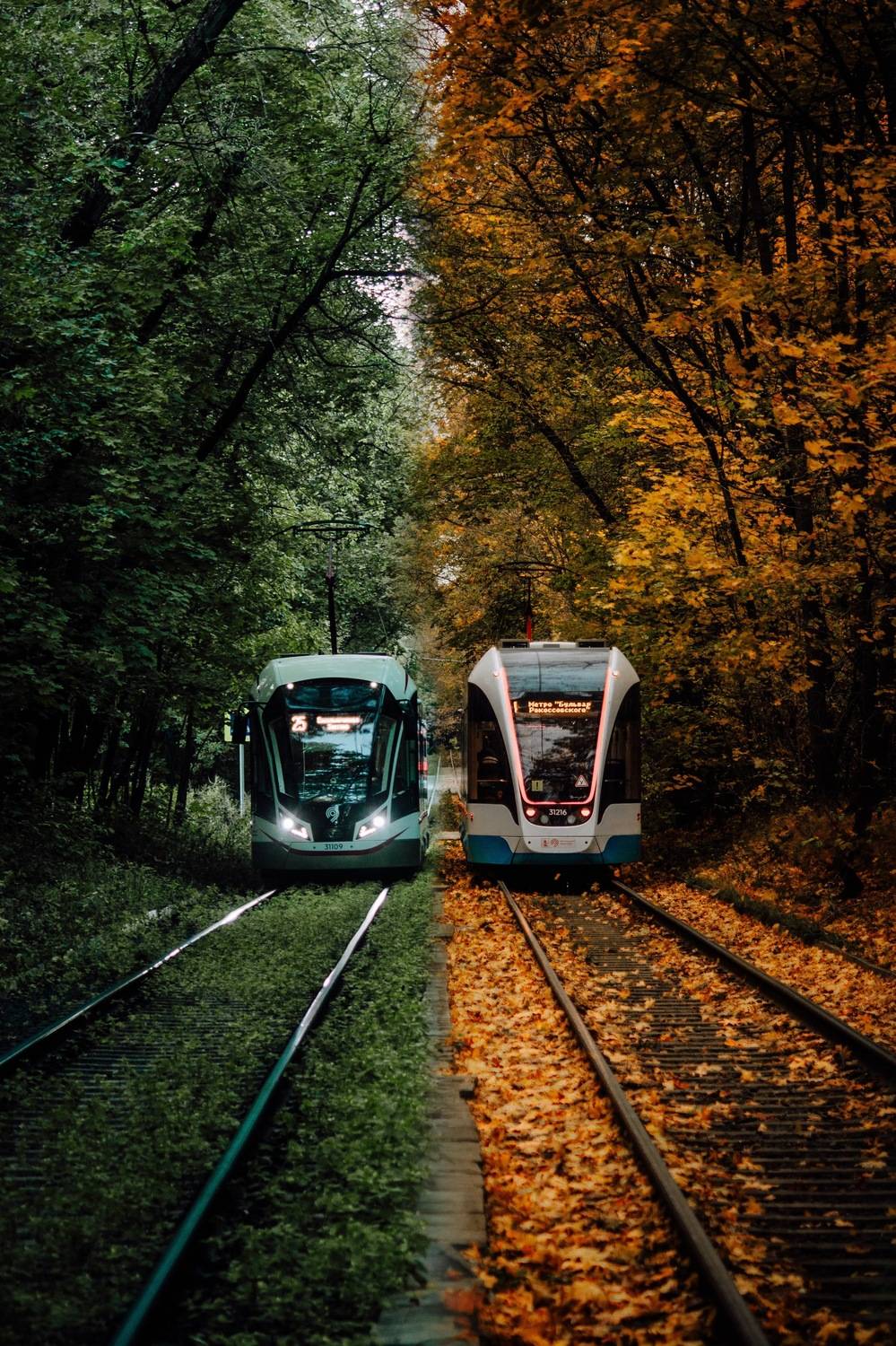 Фотография #11937809