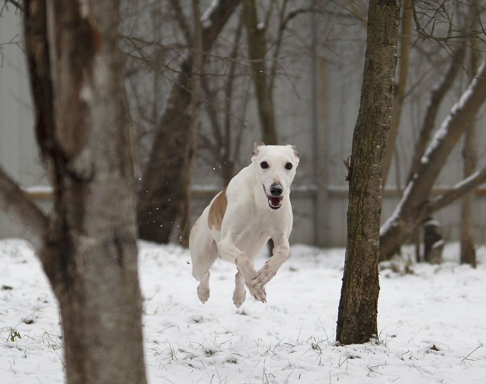 Photograph by Анастасия Рысь