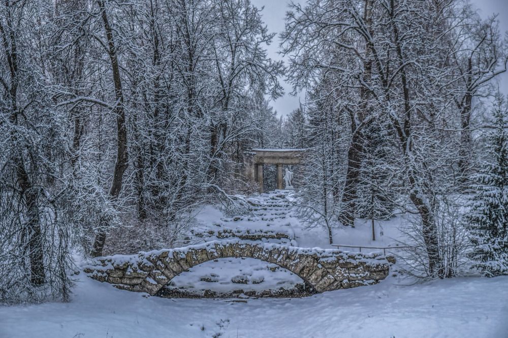 Фотография автора Ольга Виноградова