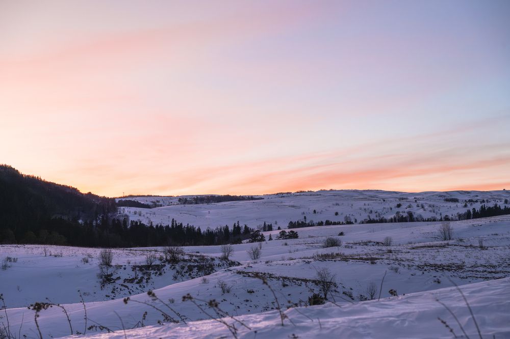 Фотография автора Борунов Константин