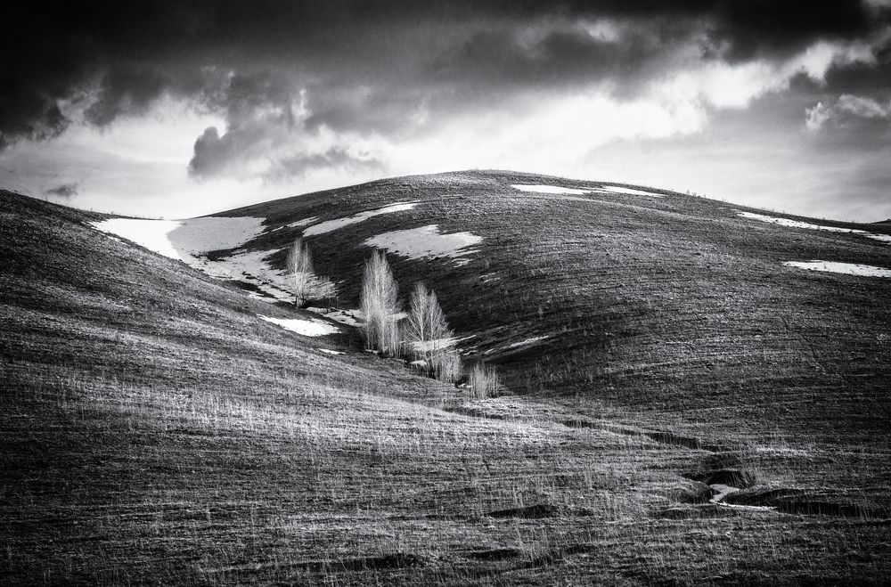 Photograph by Тамара Андреева