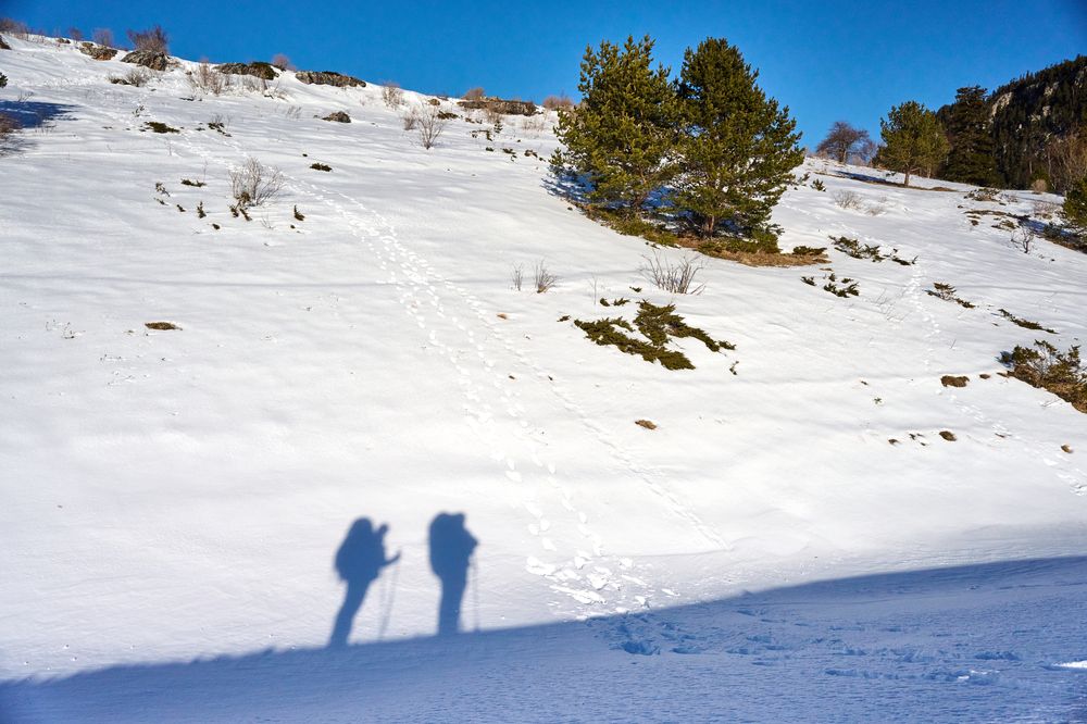Фотография автора Борунов Константин