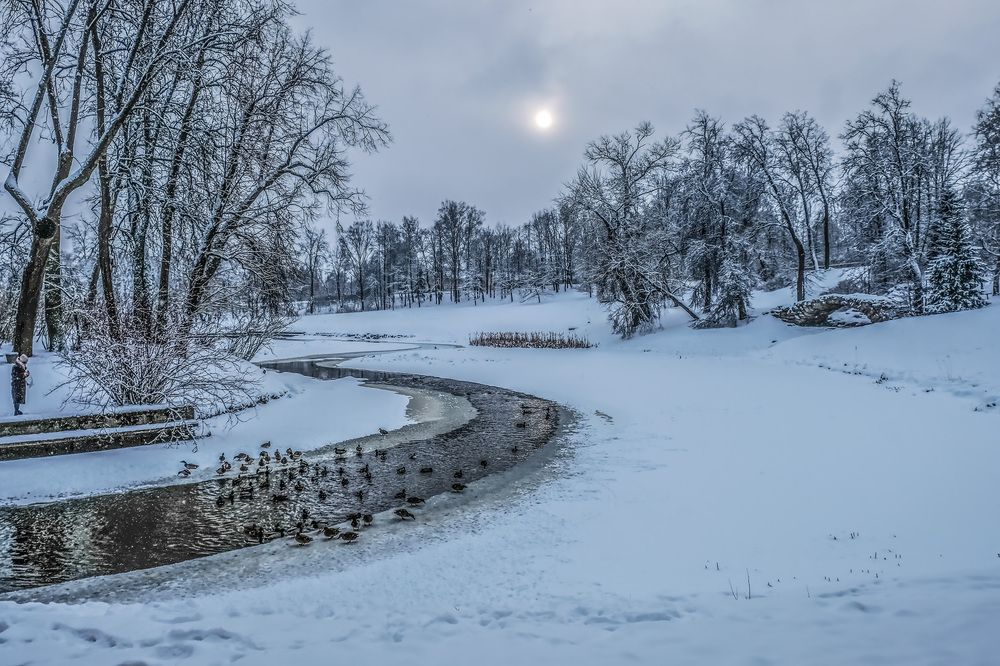 Фотография автора Ольга Виноградова