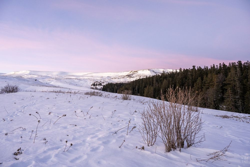 Фотография автора Борунов Константин