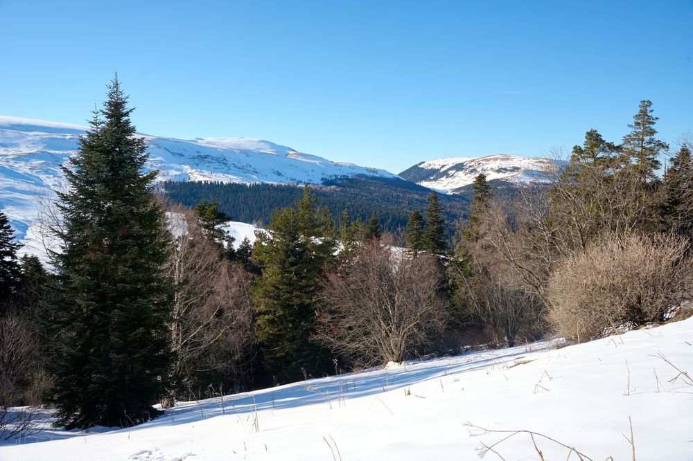 Фотография автора Борунов Константин