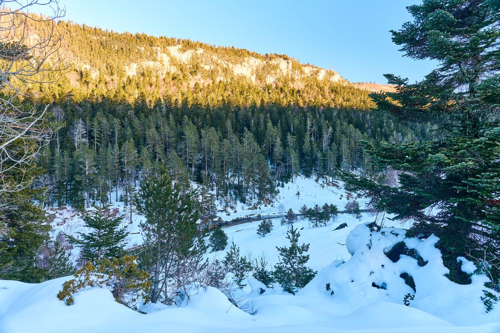 Фотография автора Борунов Константин