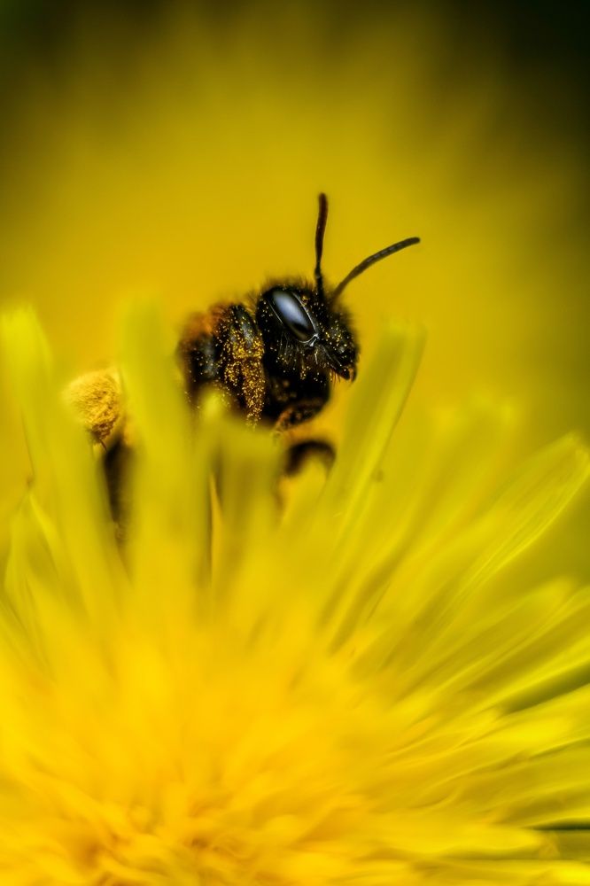 Photograph by Yuliya Karpova