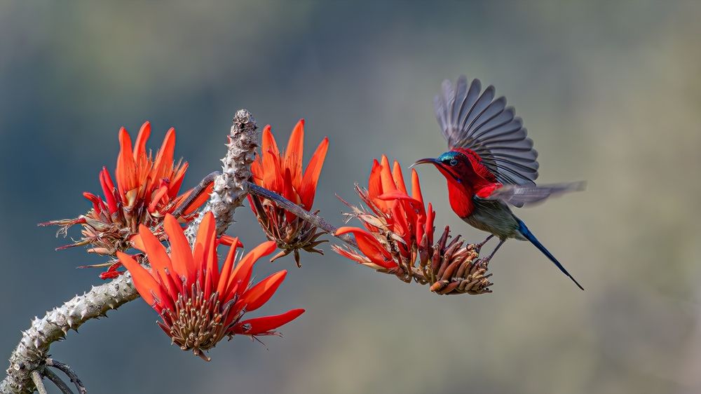 Photograph by Md Rezwan