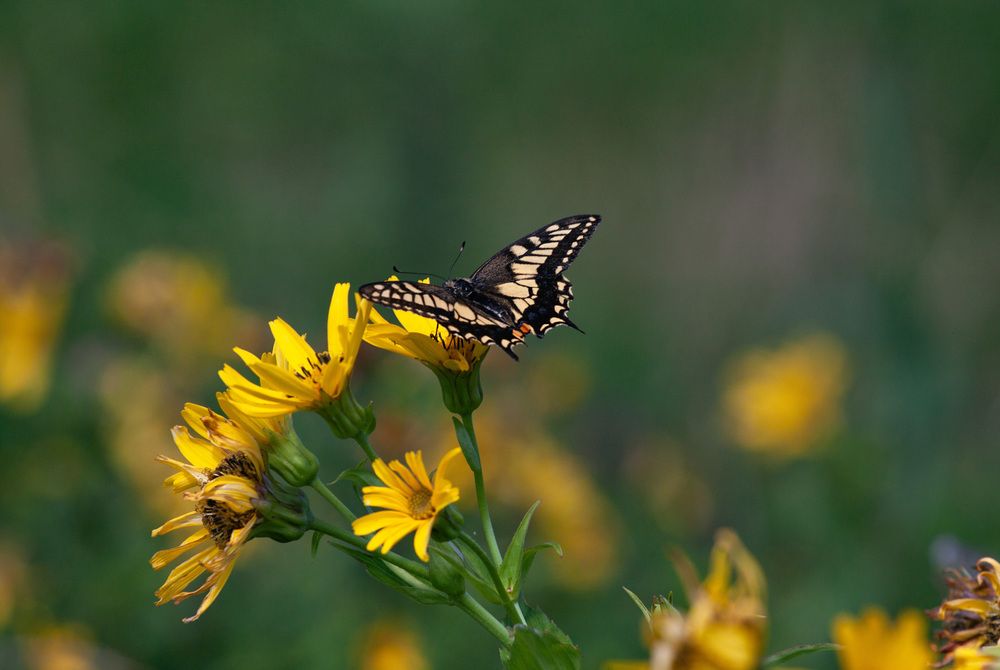 Photograph by ЕЛЕНА Рохо-Фернандес