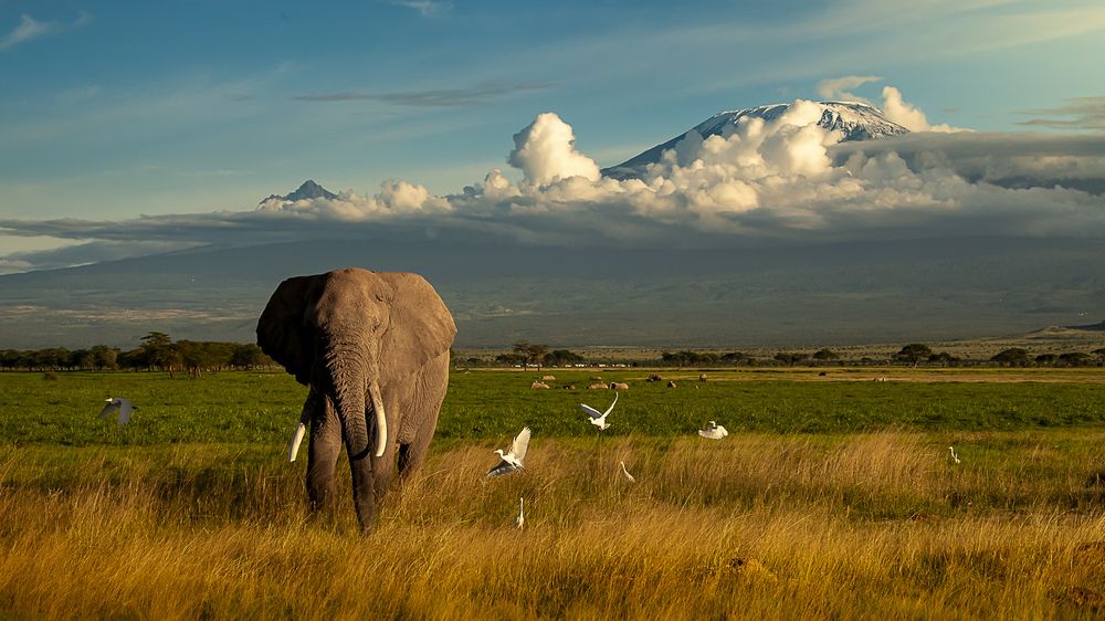 Photograph by Padmanabhan