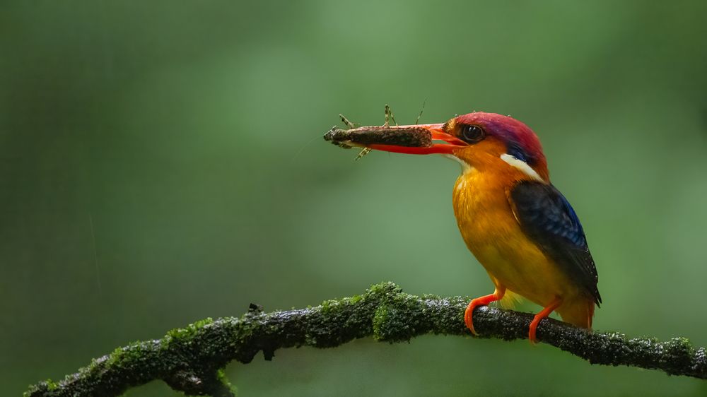 Photograph by Sandeep Shroff