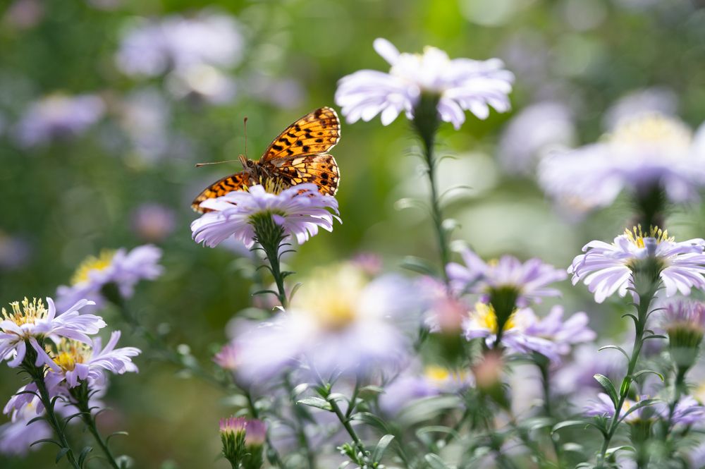 Photograph by Рыков Сергей