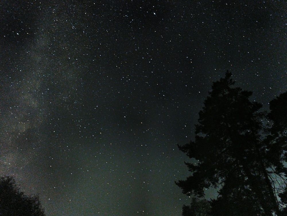 Фотография автора Татьяна Борисенко