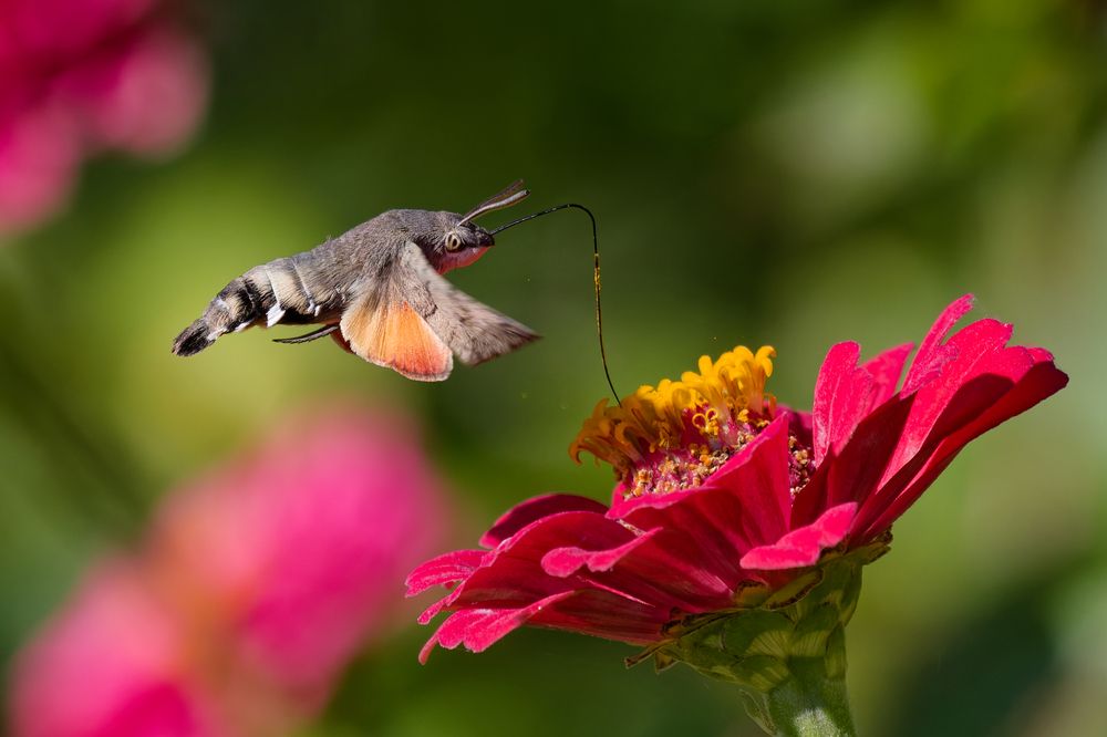 Photograph by Андрей Иванов