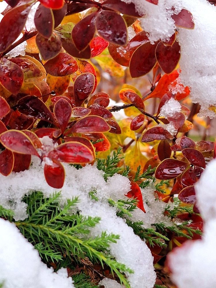 Photograph by Мария Яковлева