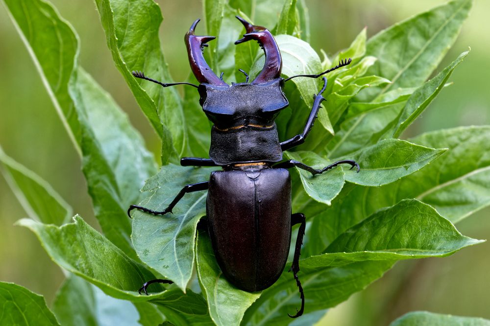 Photograph by Андрей Иванов