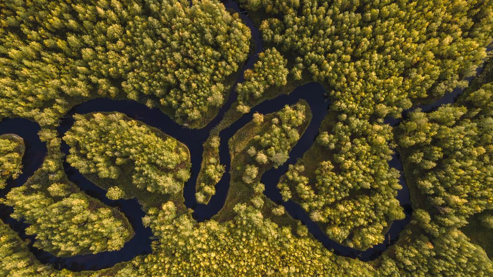 Изгибы и меандры реки  Уныя