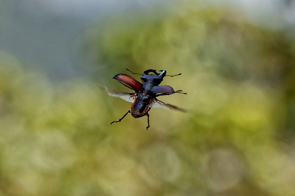 Photograph by Андрей Иванов