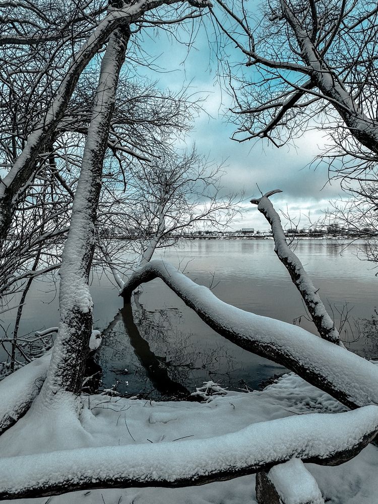 Photograph by Анастасия Денисенко