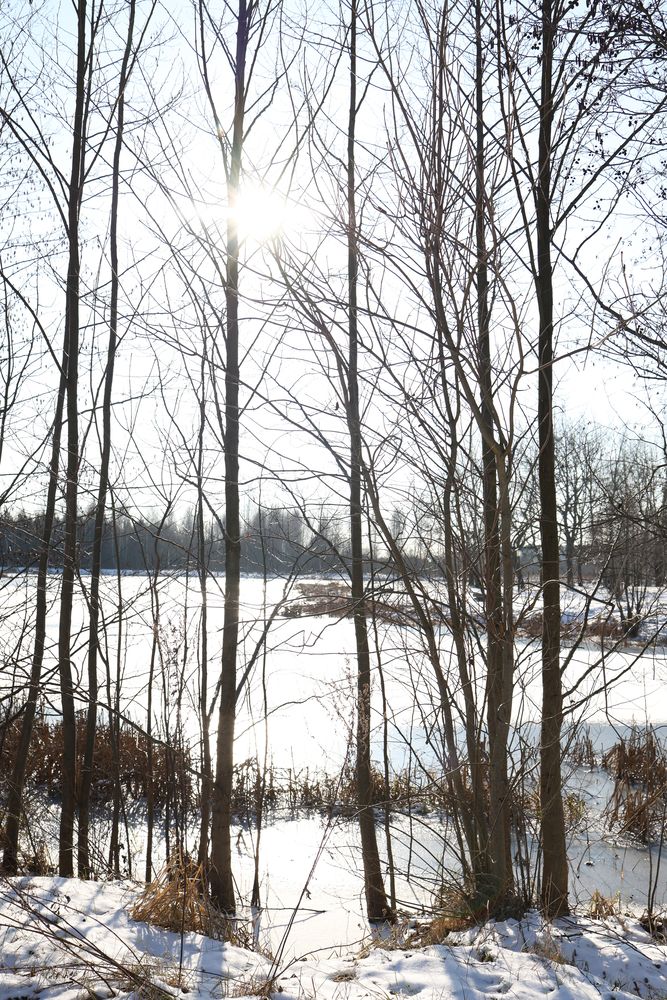 Photograph by Наталья Орленкович